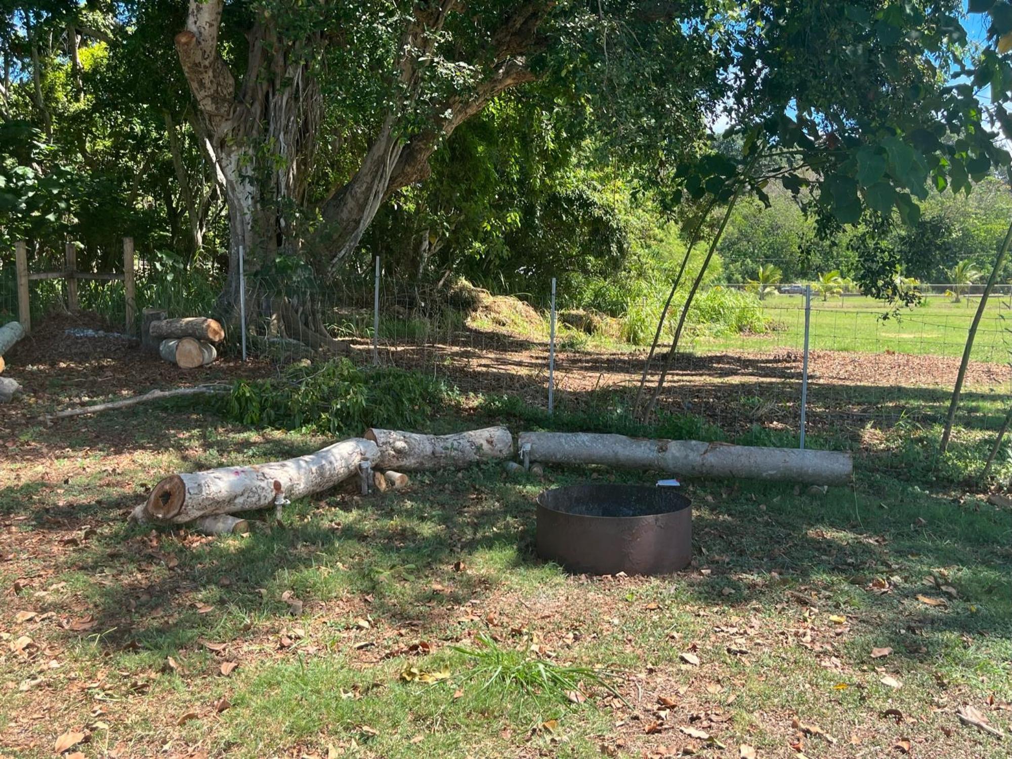 North Shore Glamping Camping Laie, Oahu, Hawaii Екстериор снимка
